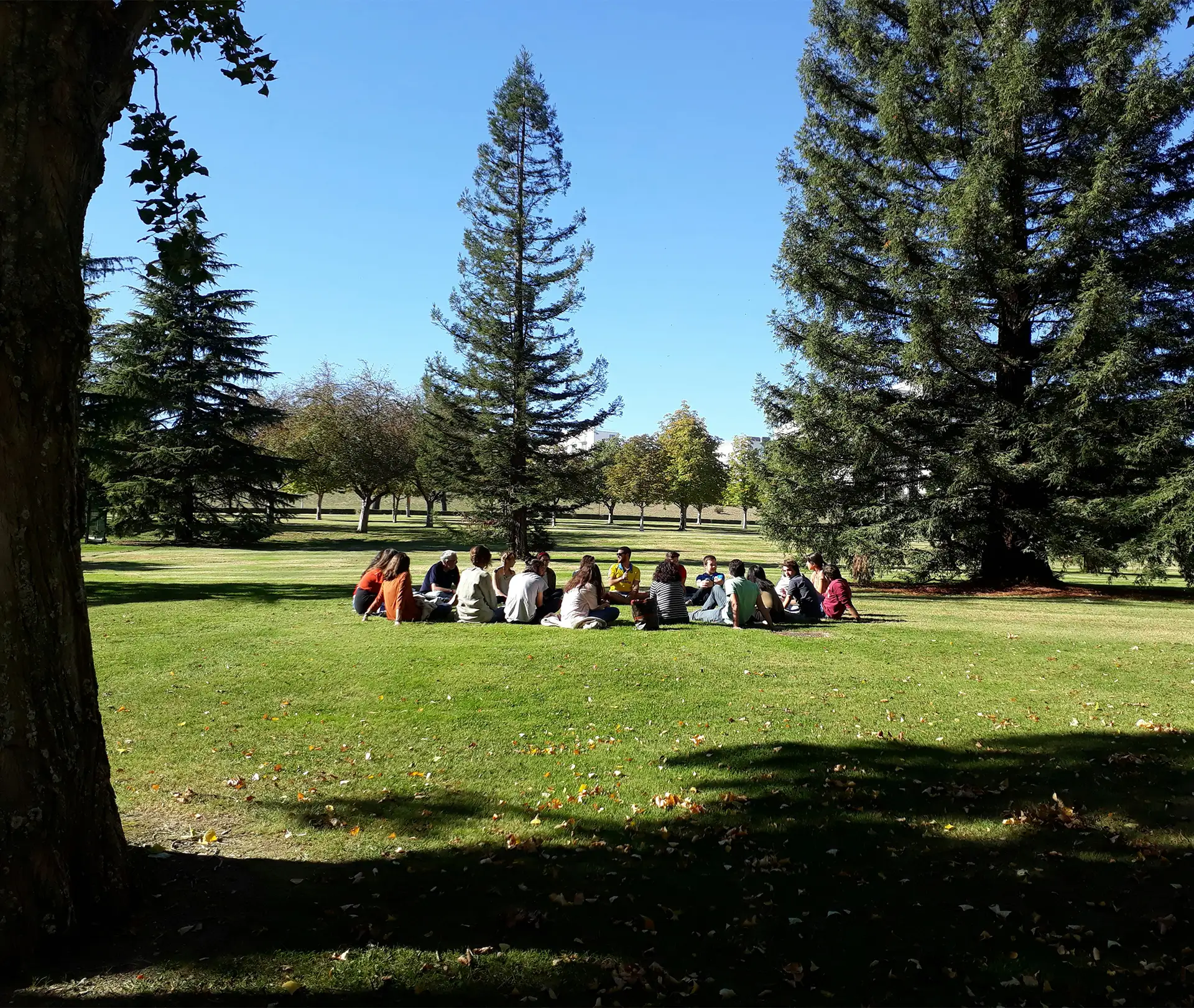 Group of people sitting in a circle in a park